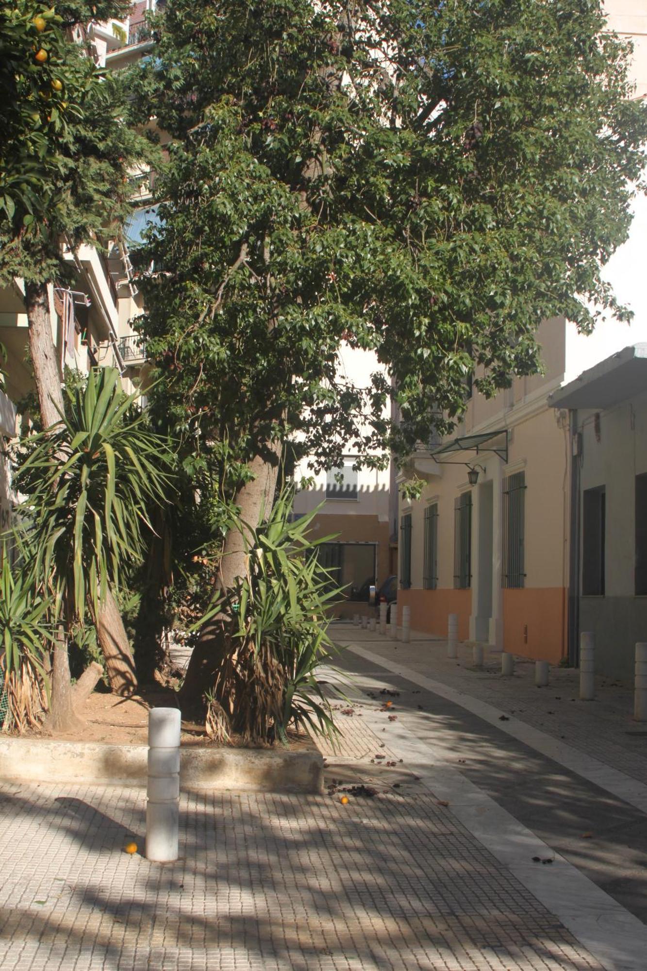 "Under The Olive Tree"- Beautiful Apartment In The Heart Of Athens Ngoại thất bức ảnh