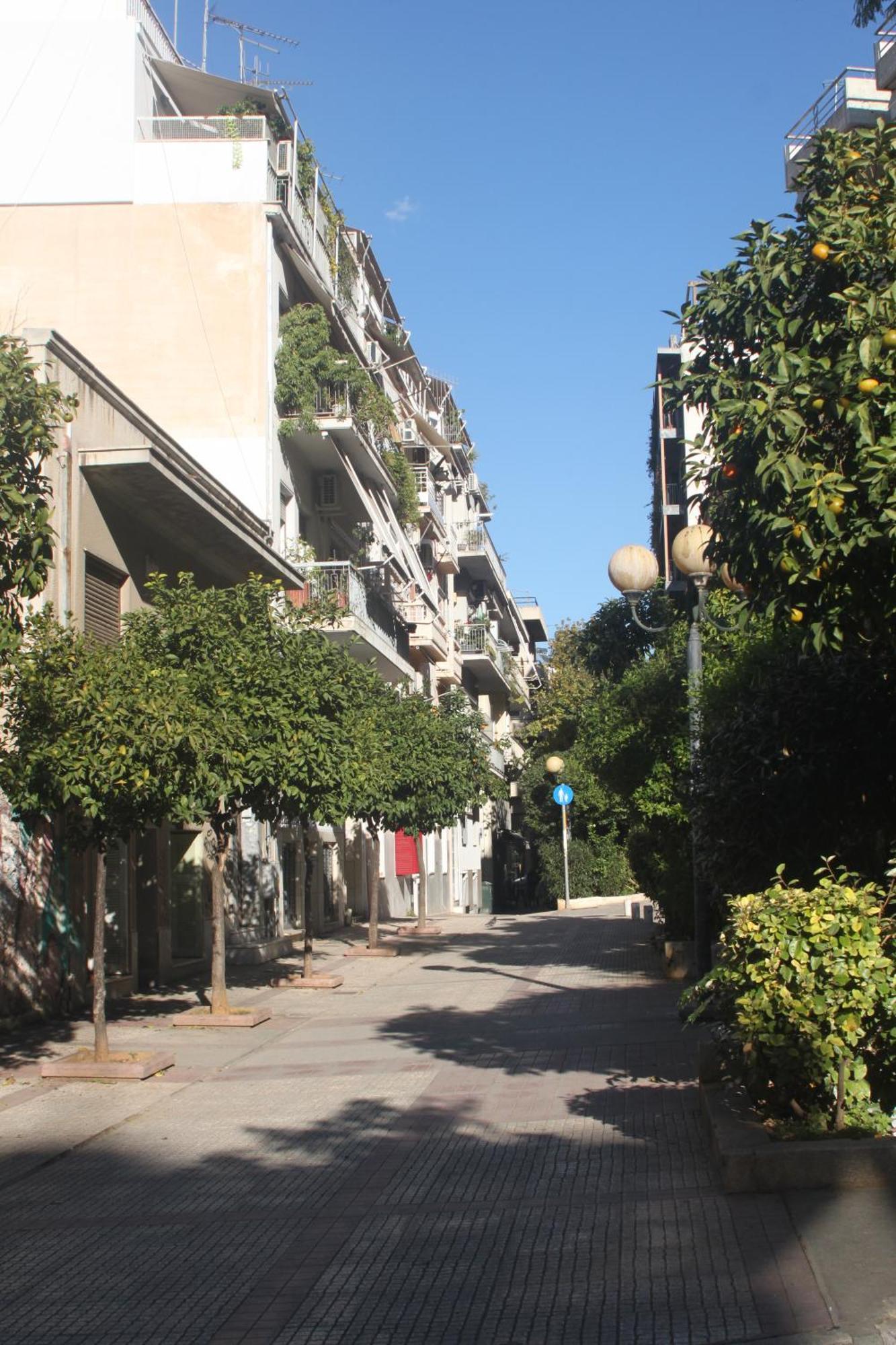 "Under The Olive Tree"- Beautiful Apartment In The Heart Of Athens Ngoại thất bức ảnh