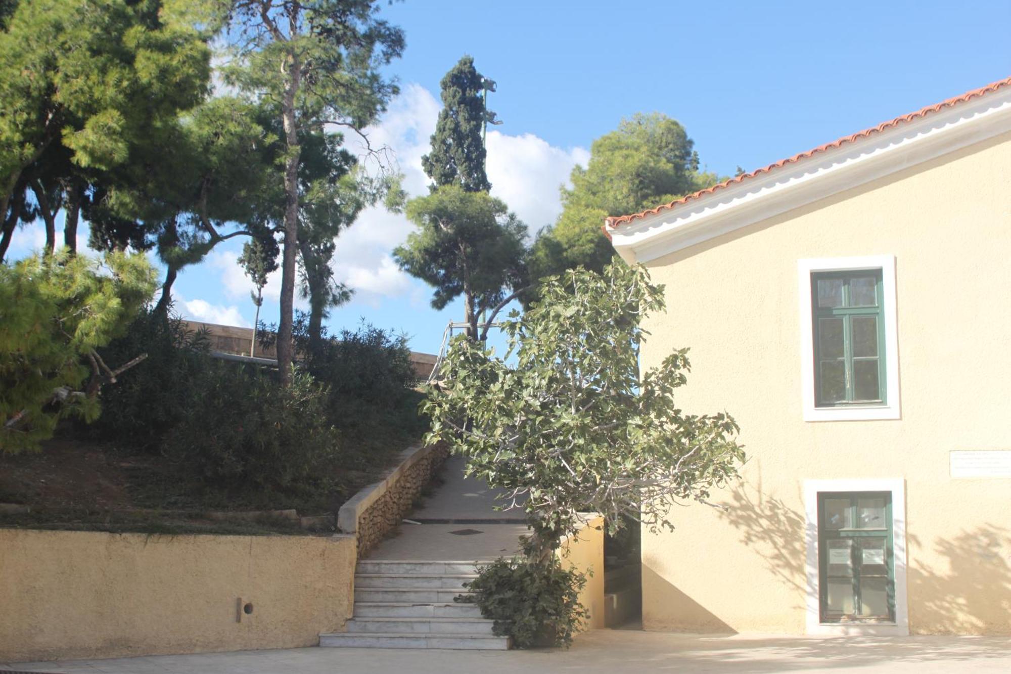 "Under The Olive Tree"- Beautiful Apartment In The Heart Of Athens Ngoại thất bức ảnh
